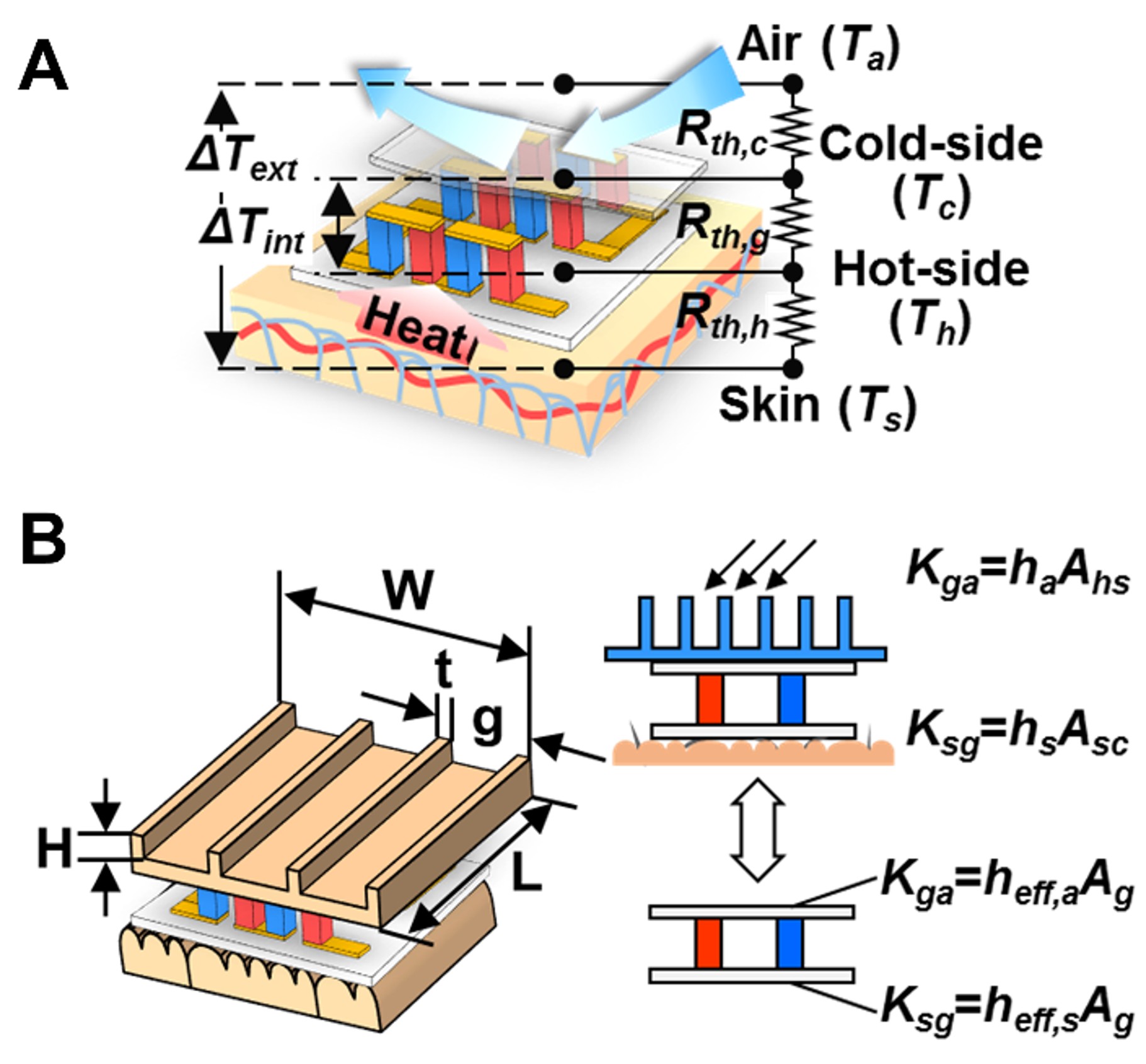 Thermal-resistance model and geometric parameters of the wearable TEG